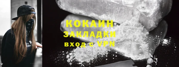 2c-b Дмитриев