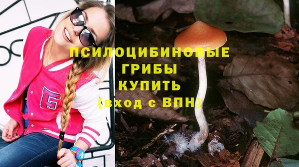 таблы Елабуга