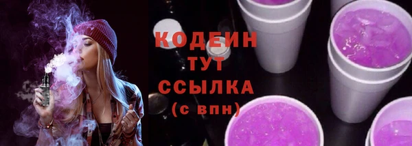 ALPHA PVP Ельня