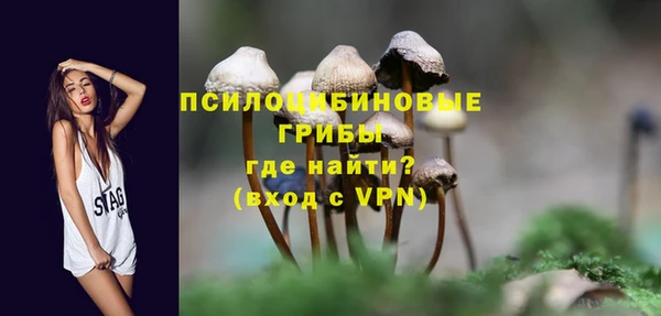 ALPHA PVP Ельня