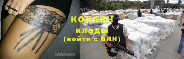 ALPHA PVP Ельня